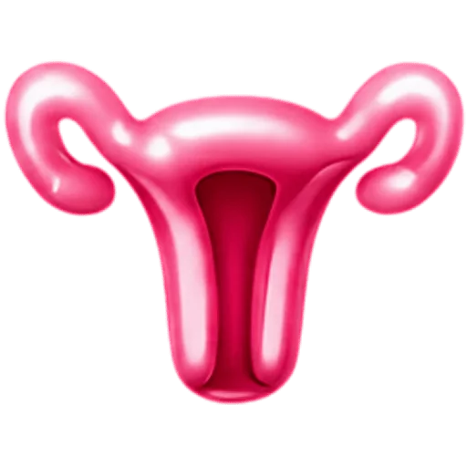 Cervix