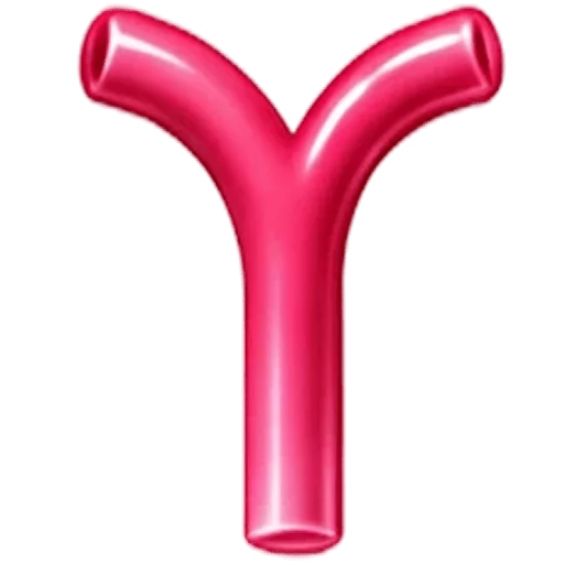 Common bile duct