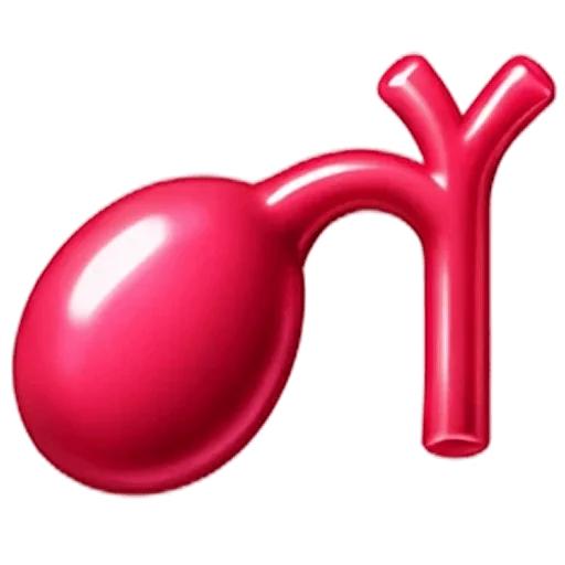 Gallbladder