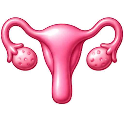 Ovaries