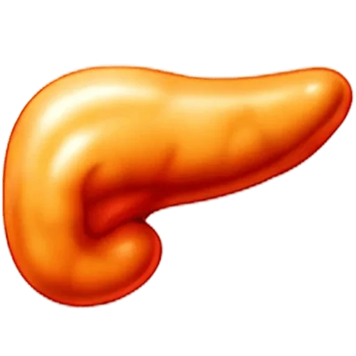 Pancreas