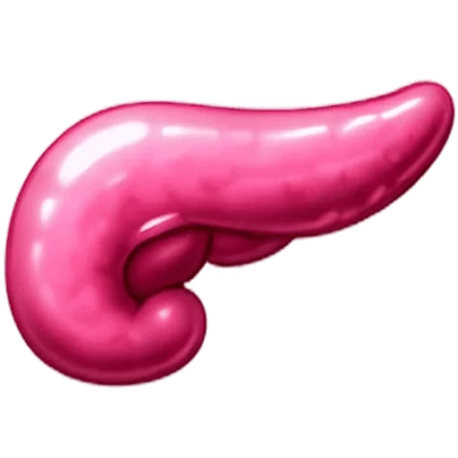 Pancreas