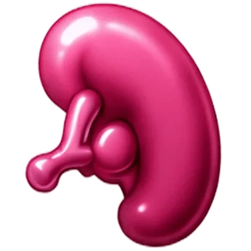 Spleen