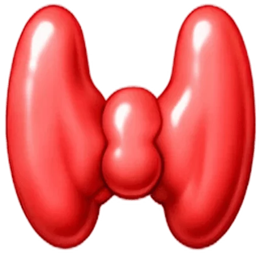 Thyroid