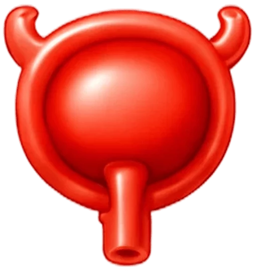 Urinary bladder